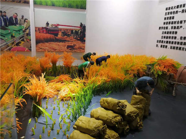 �峣�����΢�;������� (6)