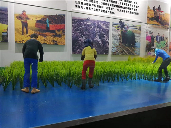 �峣�����΢�;������� (5)